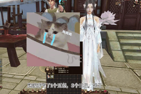 但是诚意人人都爱的爆伤限购宝石各职业从入门到大师都人手一